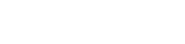 Technology_Partner